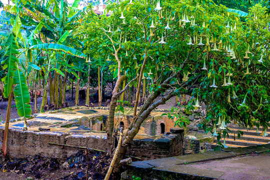 Ruins of the Roman city known as Sala Colonia and the Islamic complex of Chellah, mosque and minaret ruined.