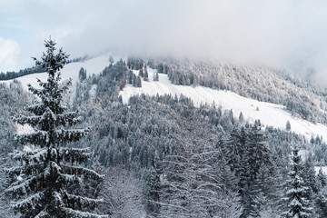 Winterlandschaft mit schneebedeckten Bäumen auf den Bergen im Nebel