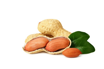 Dried peanuts with leaves isolated on white background. Food