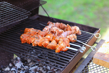 Tasty meat steaks on the grill with coals. Delicious grill at picnic.
