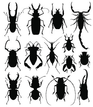 Beetles / bugs silhouettes on a wight background. vector illustration