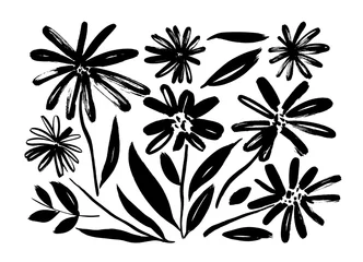 Schilderijen op glas Geschilderde Bloemen Chamomile hand drawn paint vector set. Ink drawing flowers and plants, monochrome artistic botanical illustration.  © Anastasiia Hevko