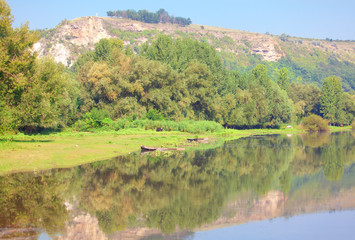 Fototapeta na wymiar green rustic scenery with pasture and river 