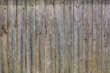 The structure of an old wooden fence. Worn boards with mold and rusty nails. Background for sites and layouts.