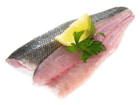Loup de mer - Wolfsbarsch