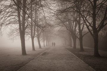 cold freezing winter atmosphere in black and white on a tree-lined path