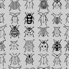 Beetles Design Seamless Pattern on Grey Background