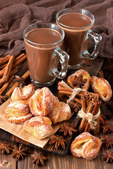 Aromatic cocoa drink with cinnamon and sweet cookies 