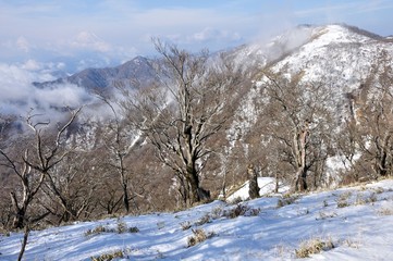 厳冬期の丹沢山からの展望