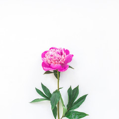 Peony flowers on white background, flat lay, top view