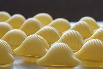 Italian pasta in the form of sea shells
