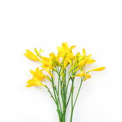 Lily flowers on white background, flat lay, top view