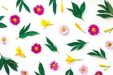 Chamomile and lily flowers on white background, flat lay, top view