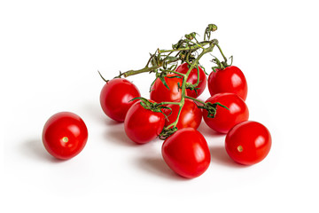 Red cherry tomatoes on a dry green branch