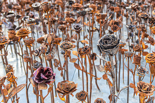 Forged rusty Iron roses
