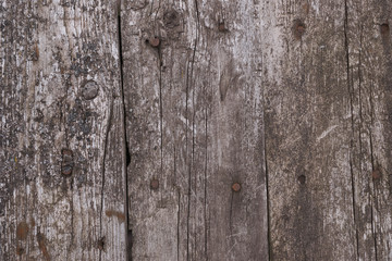 Old wooden texured surface closeup. Moss and relief on surface. Stock photo of old wooden pattern of aged boards with moss. Brown and gray colors on photo.