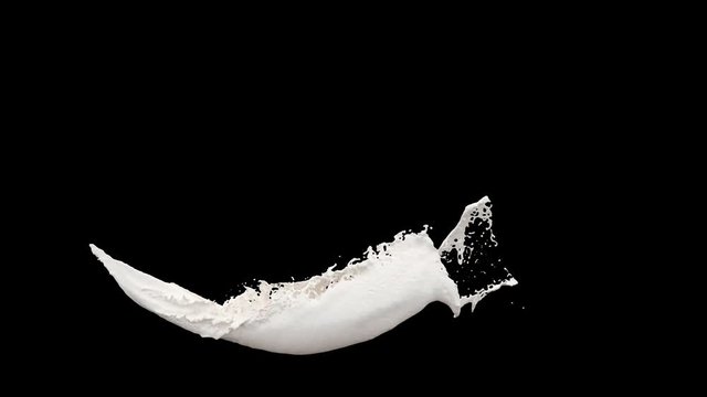 4K slow motion 3D vortex milk flow with a splashes isolated on a black background with alpha matte