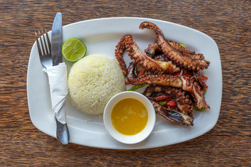 Fried octopus tentacles with white rice on a plate, close up