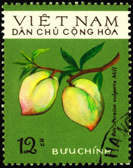 Peach on postage stamp