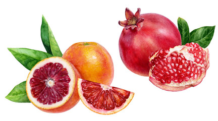 Pomegranate blood orange set watercolor isolated on white background