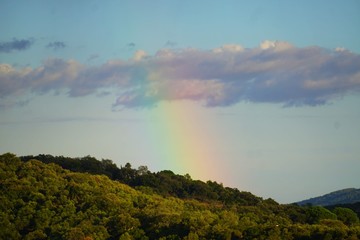 Fototapeta premium Tęcza