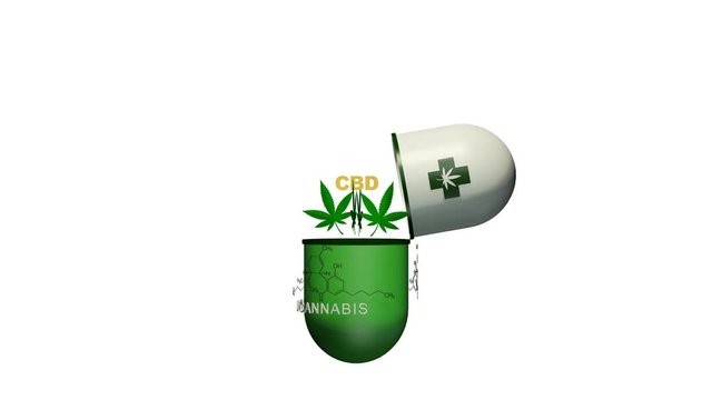 SBD CANABIS OIL 3D graphics and animation of marijuana, graphic text of a bottle of oil and hemp bush in the background, alternative medicine, ligization.