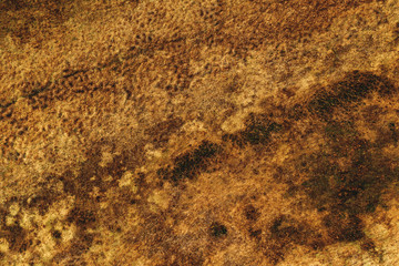 Abstract texture of plain landscape countryside