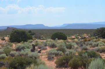 Obraz premium Early Summer in Utah: Looking Across to Salt Wash Canyon and Dry Mesa From Panorama Point in Arches National Park