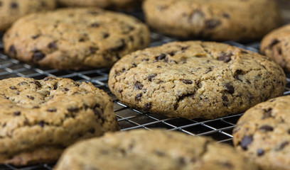 Freshly Baked Chocolate Cookies on Cooling Rack. Sweet Biscuits. Homemade pastry.