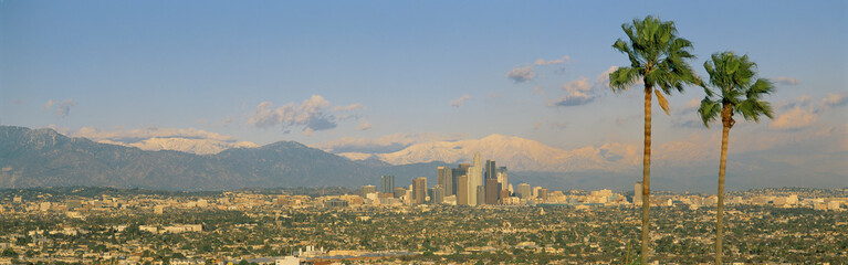 This is a clear view of downtown Los Angeles. It shows Mount Baldy and two Palm Trees from Baldwin...
