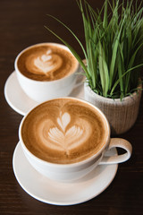 Craft Coffee and Succulent - 316636215