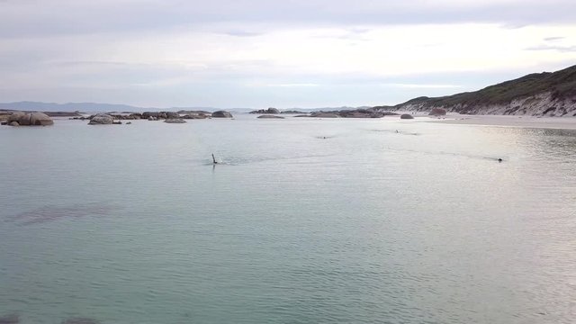 Plano de drone con grupo de personas nadando en el mar cerca de una playa de agua cristalina 4K