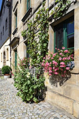 Obraz na płótnie Canvas house with flowers in Thurnau