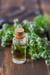 essential oil with fresh marjoram herb