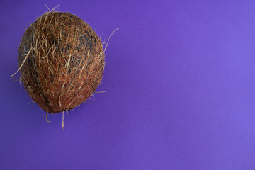 Top view of half ripe coconut on violet purple background. Summer concept