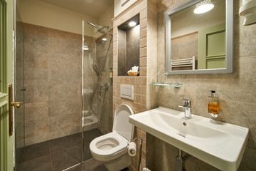 Hotel bath room with shower and toilet
