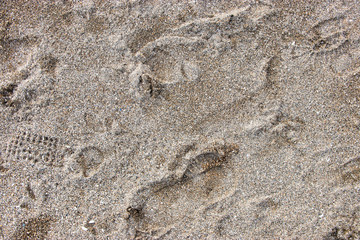 Footprints In The Sand.