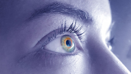 eye concepts. Image macro de l'oeil humain. detail of eyes of the girl with long eyelashes