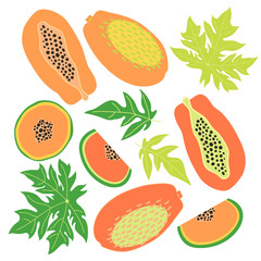 Set of Juicy fruits and slices of ripe papaya. Leaves of papaya fruit tree and papaya bones. Papaya fruits, slices and leaves isolated on white background. Fruit icons. 