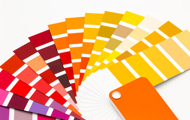 Color palette guide on white background