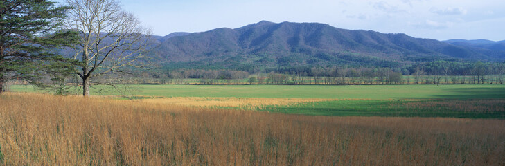 This is Cades Cove Pioneer settlement in the spring. The mountains of the Smokies are in the...