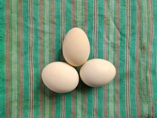 Organic eggs on picnic tablecloth. picnic concept
