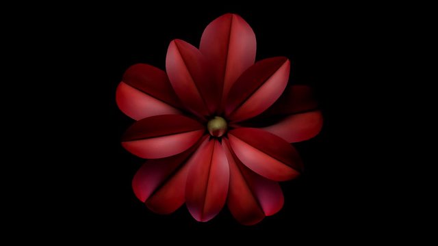 Alpha Channel Transparent Animated 3D Beautiful render of a flower opens and closes. Red petals of blossom on dark background. Illustration Isolated on black. Botanical element. 