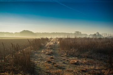 sunny cold morning over the road to the fields