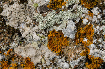 The texture of the mountain surface, rock, stone off the sea coast.