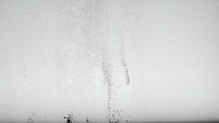 Paint Roller Transitions 4 shots with Alpha Channel