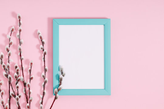 Beautiful flowers composition. Spring background. Photo frame, branches of pussy willows on pastel pink background. Valentines Day, Easter, Happy Women's Day, Mother's day.  Flat lay, top view