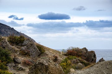 Mountain trees. Stones, sea and mountain landscapes. Travel and adventure.
