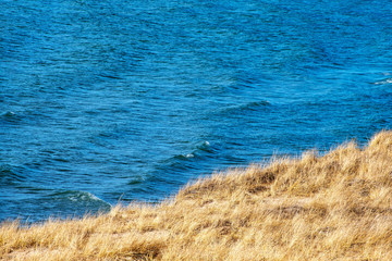 blue Lake Michigan water with golden dune grass and sand