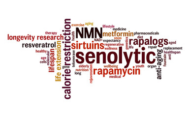 Senolytic word cloud. Typography.